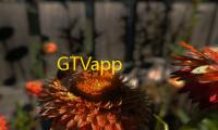 GTVapp