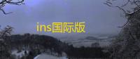 ins国际版